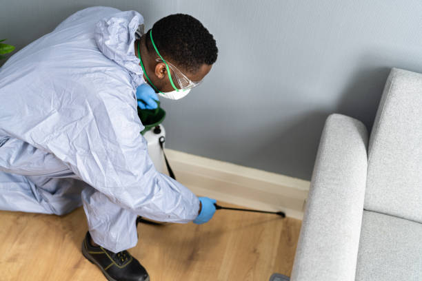 Best Termite Inspection and Treatment  in Saddle Rock, NY